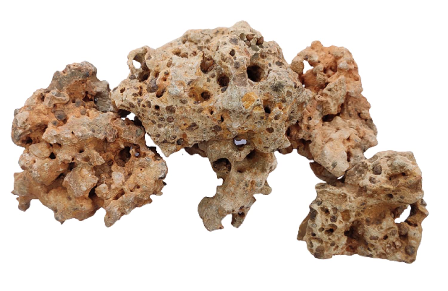 Congo Rock | Authentic Natural Hole Congo Rock