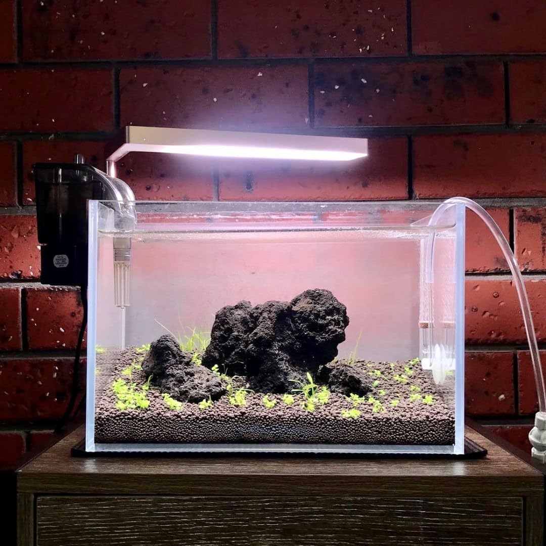 Lava Rock | Authentic Natural Hole Congo Rock