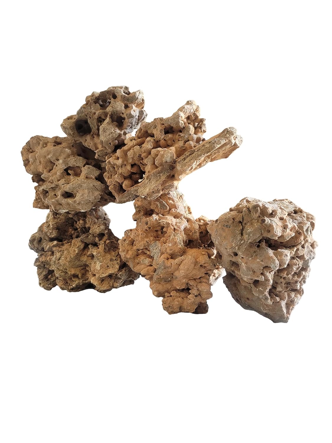 Congo Rock | Authentic Natural Hole Congo Rock