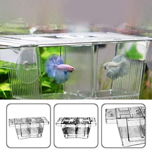 Aquarium Fish Breeding Box | Isolation Box For Fish (Double)