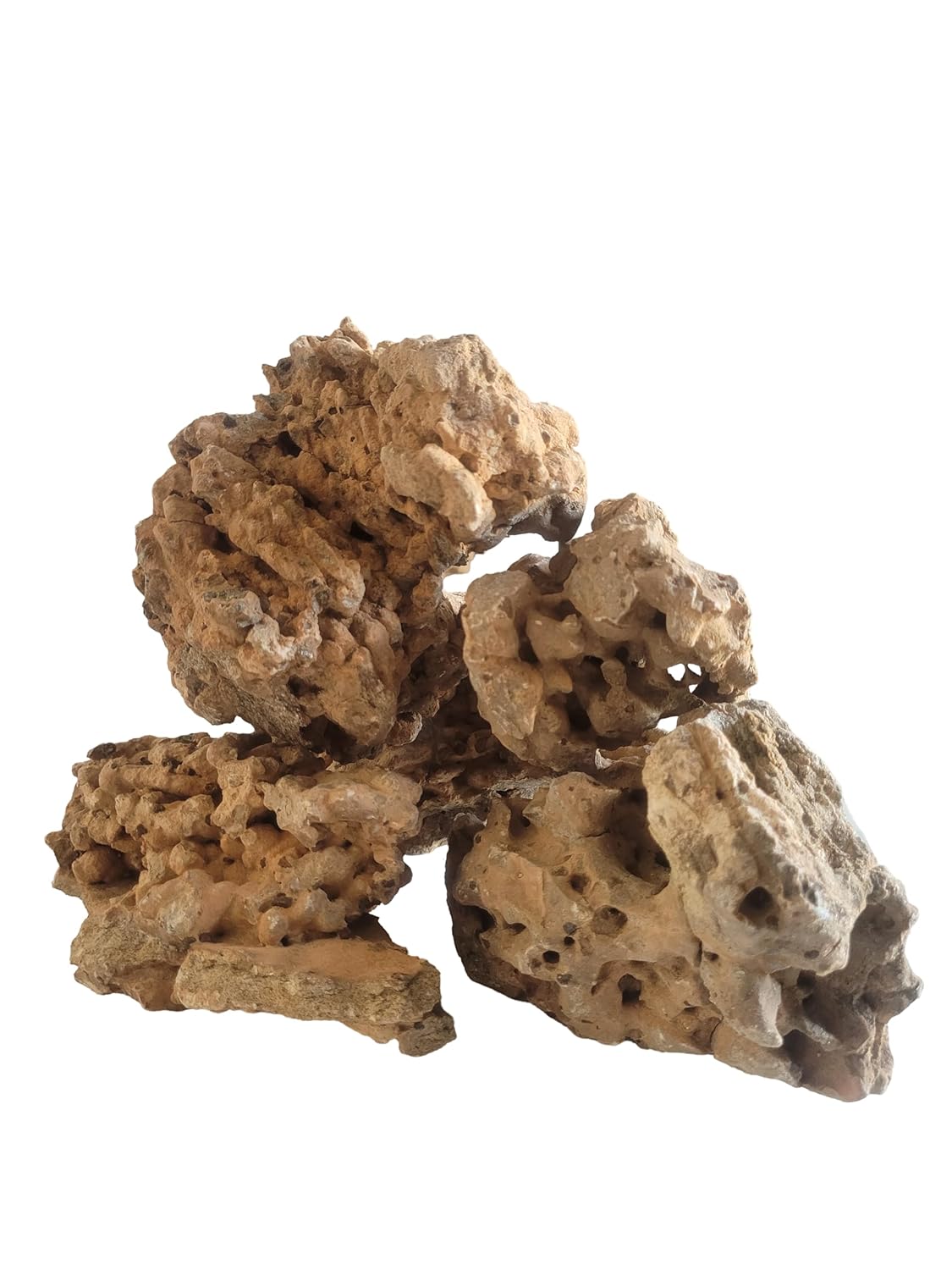 Congo Rock | Authentic Natural Hole Congo Rock