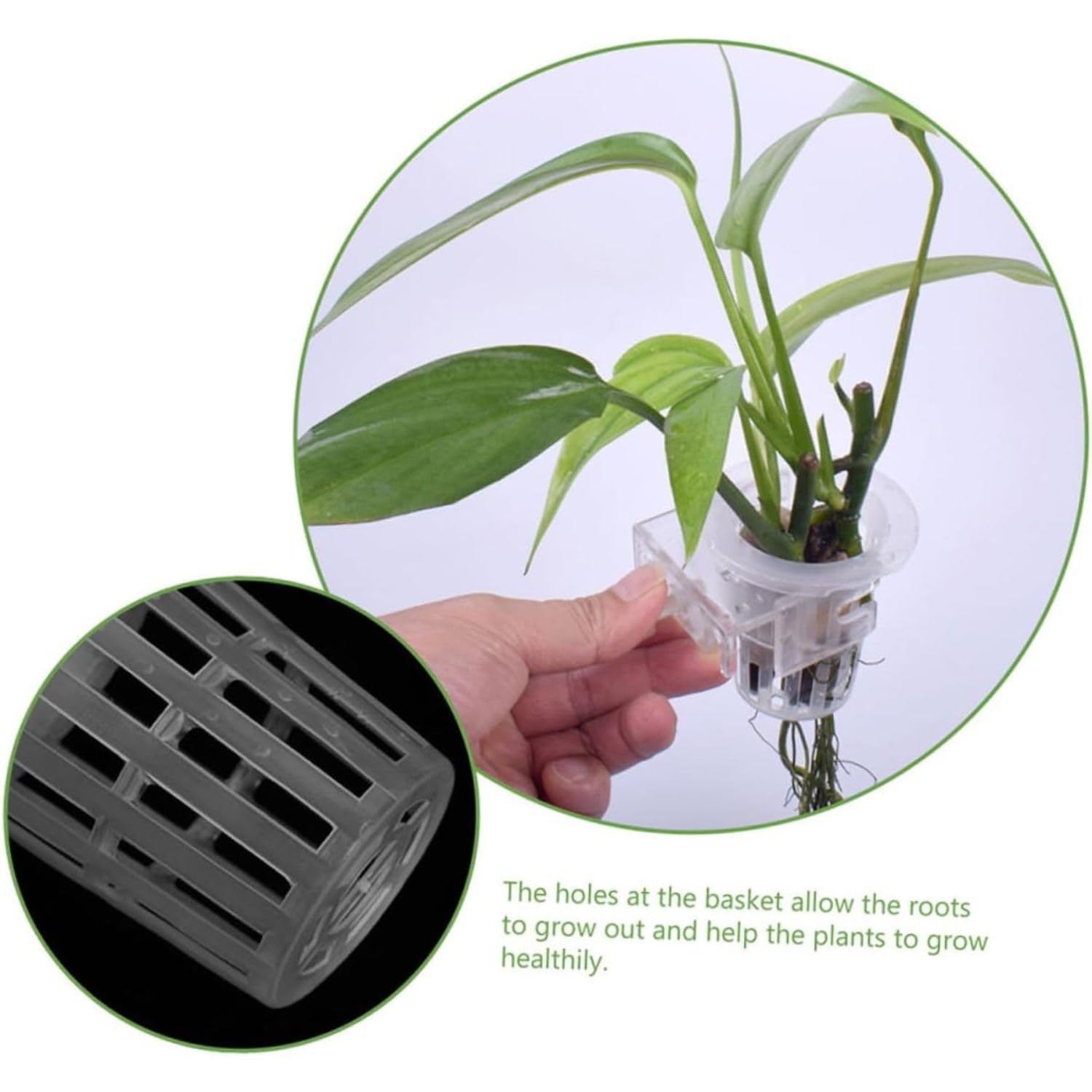 White Hanging Plant Holder (Cup Type) - Pack of 2