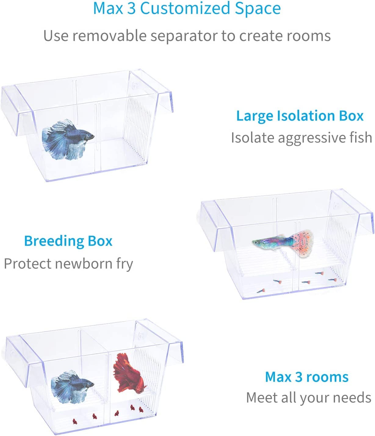 Aquarium Fish Breeding Box | Isolation Box For Fish (Double)