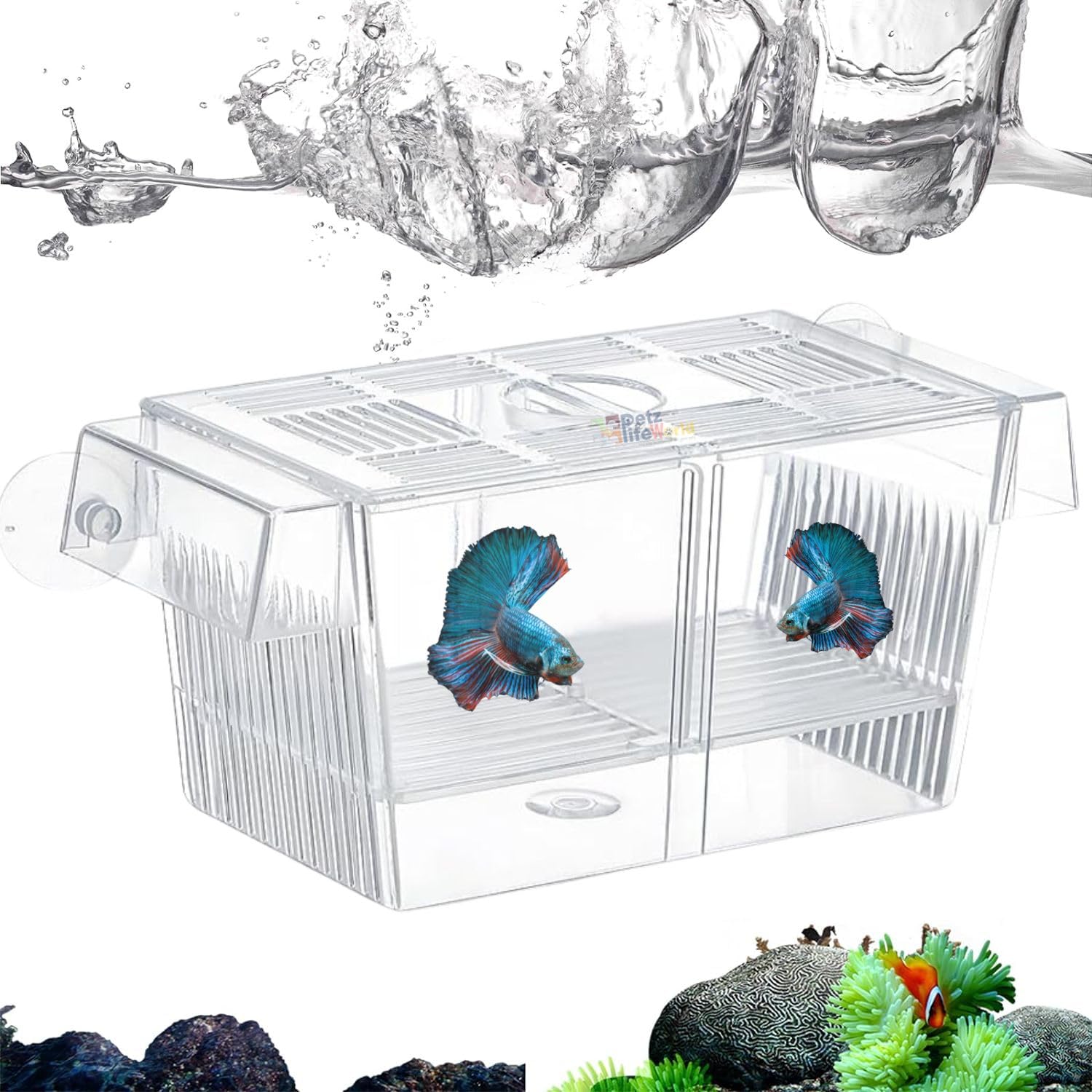 Aquarium Fish Breeding Box | Isolation Box For Fish (Double)