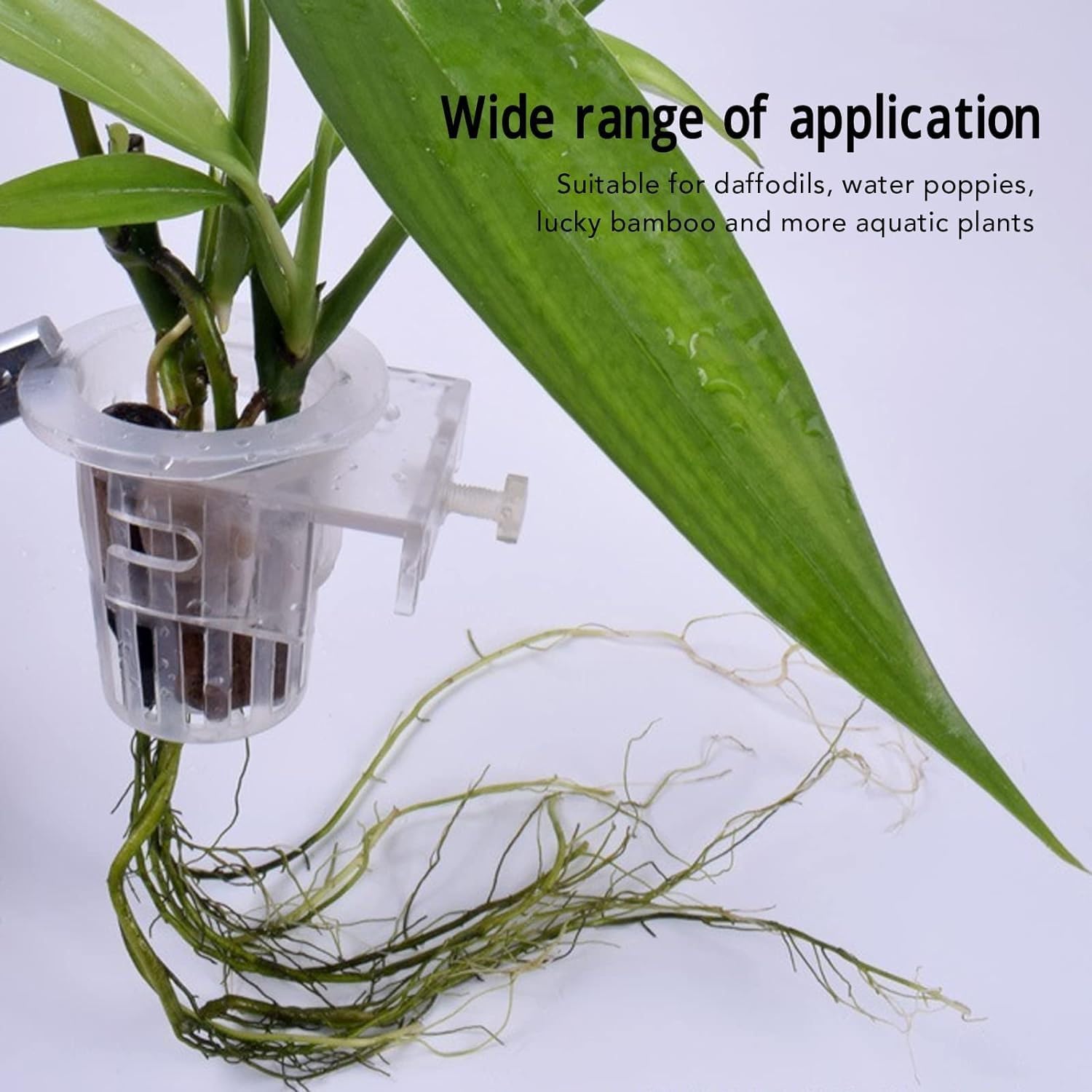 White Hanging Plant Holder (Cup Type) - Pack of 2