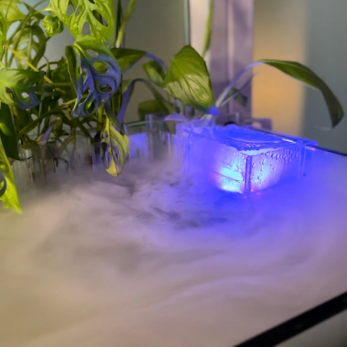 Aquarium Mist Box