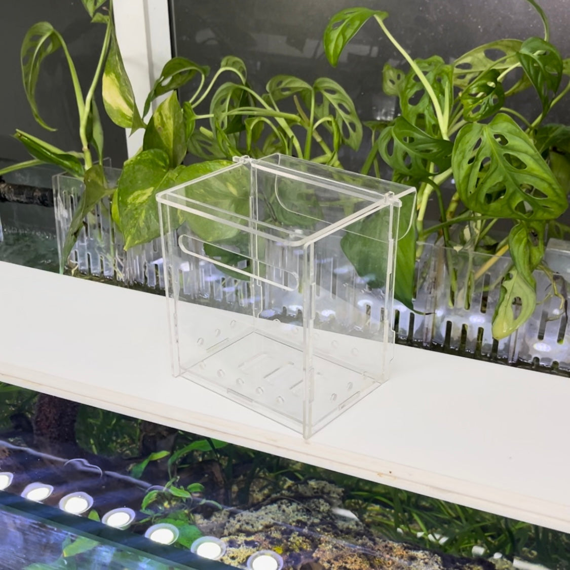 Aquarium Mist Box