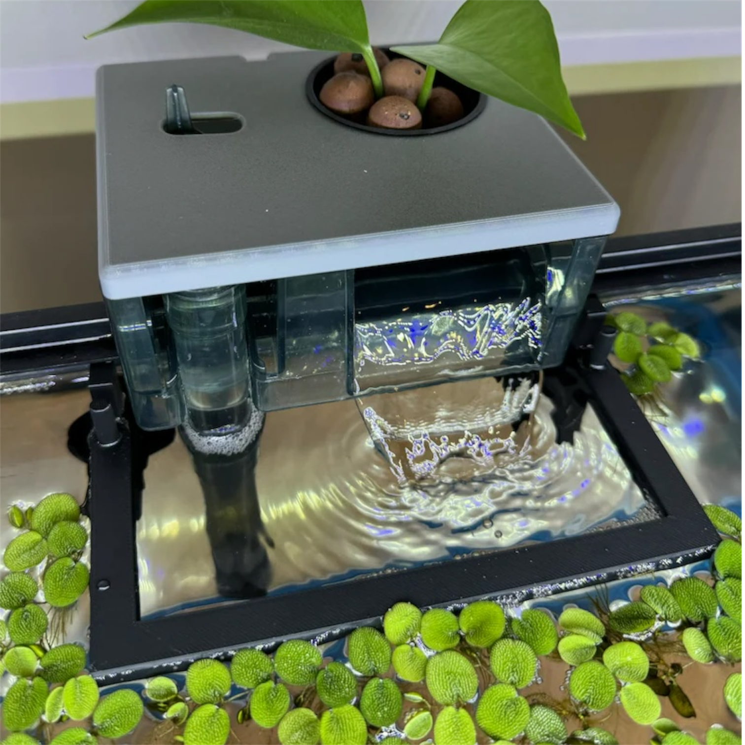 Floating Plant Barrier for Aquariums Filter