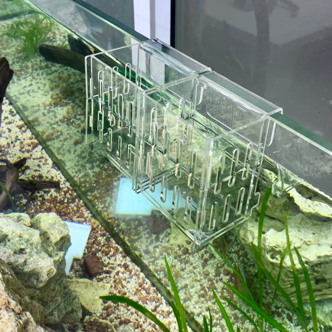 Aquarium Plant Holder