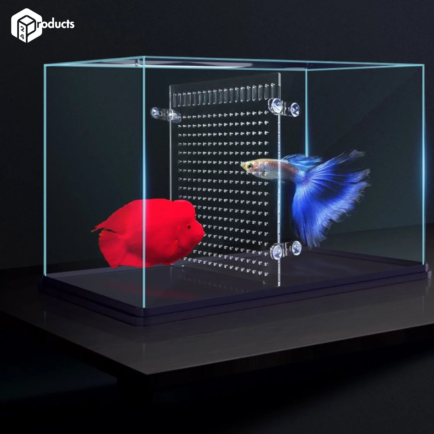 Aquarium Divider with Suction Cups