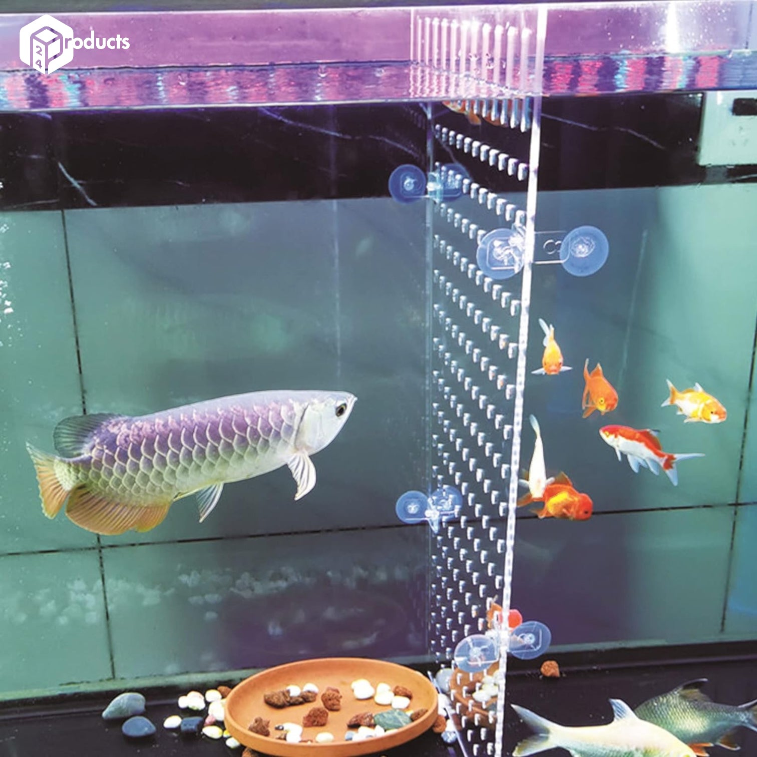 Aquarium Divider with Suction Cups