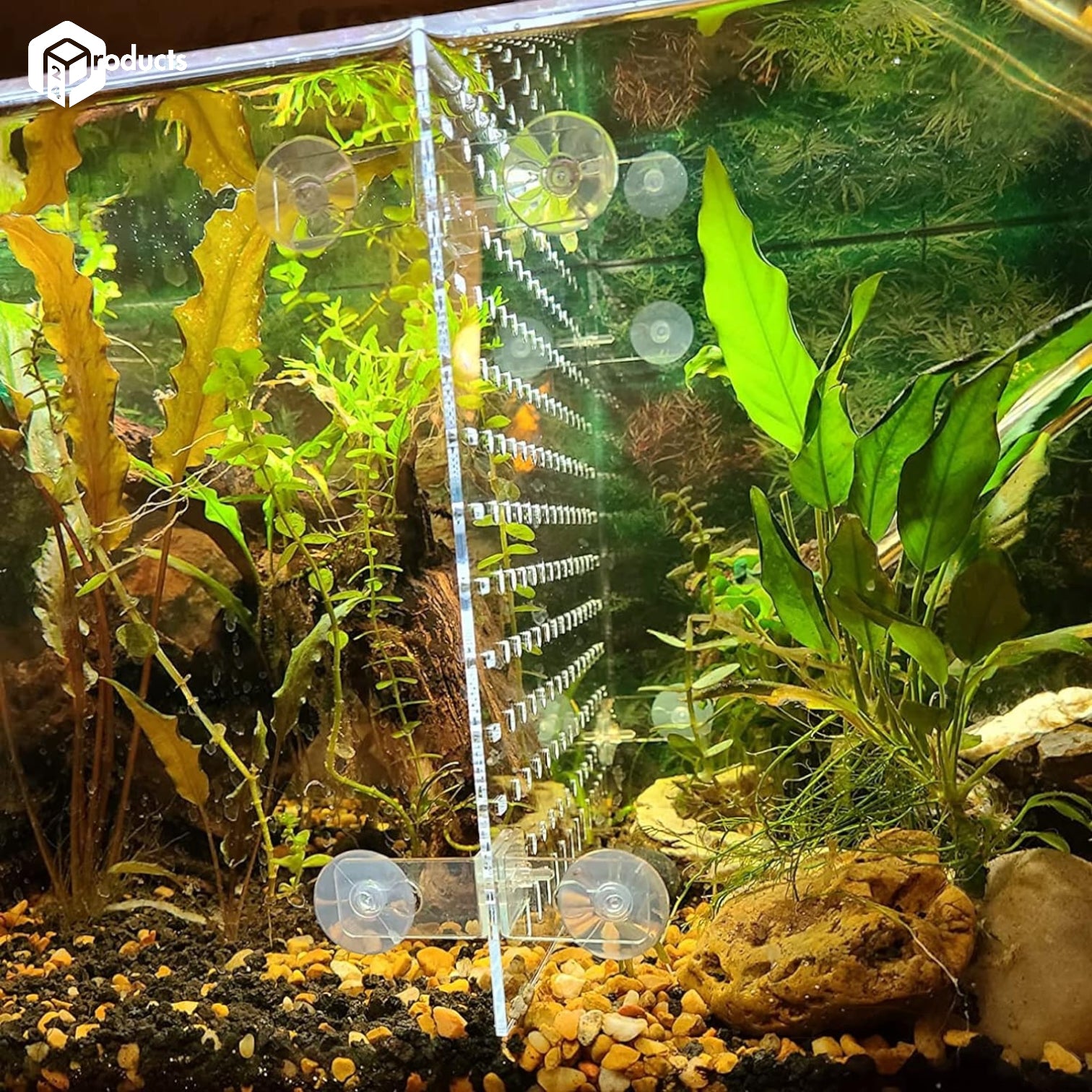 Aquarium Divider with Suction Cups