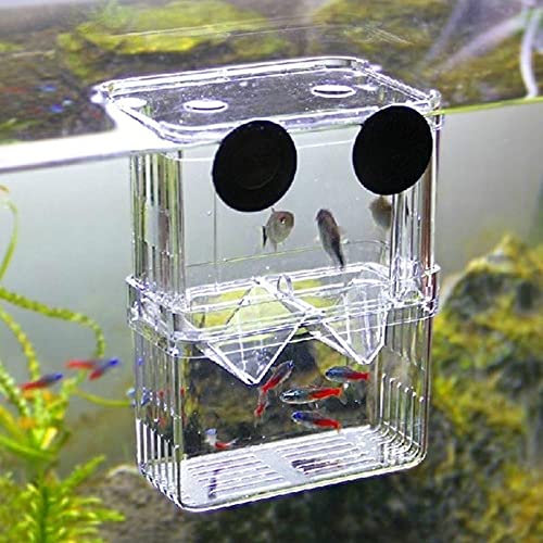 Guppy Breeder Box Pcs Nylon Mesh Aquarium Fish Fry Hatchery