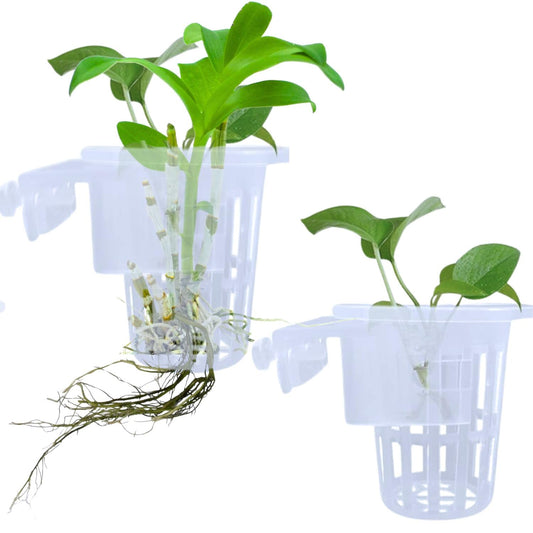 White Hanging Plant Holder (Cup Type) - Pack of 2