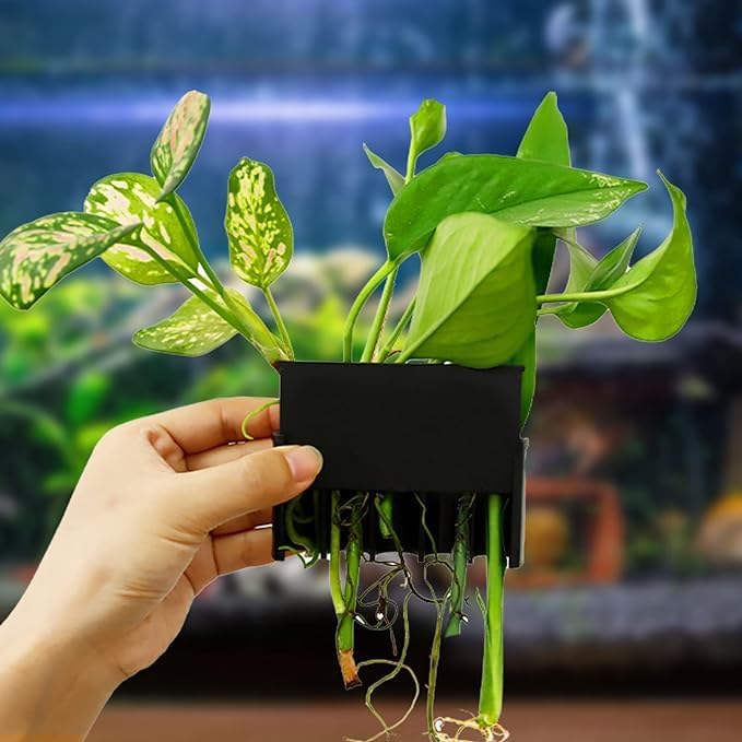 hanging aquarium plants Aquarium Plant Hanging Cups (Slider Type) – Products24