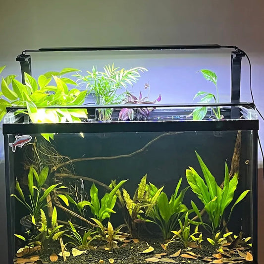 Universal Aquarium Light Riser