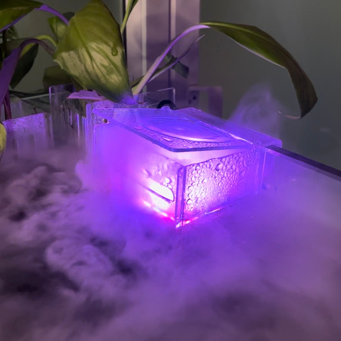 Aquarium Mist Box