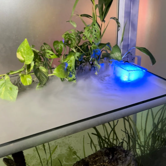 Aquarium Mist Box