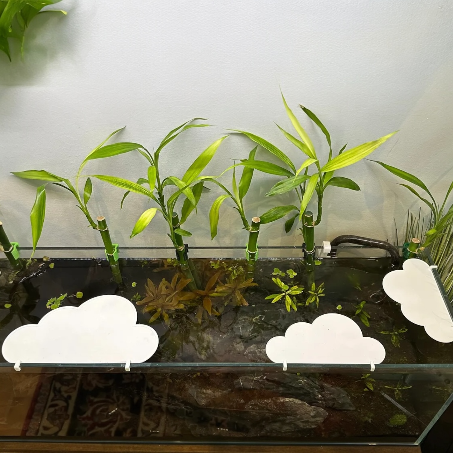 Aquarium Shade Cover | Light Control for Algae Prevention | Happy Clouds Design
