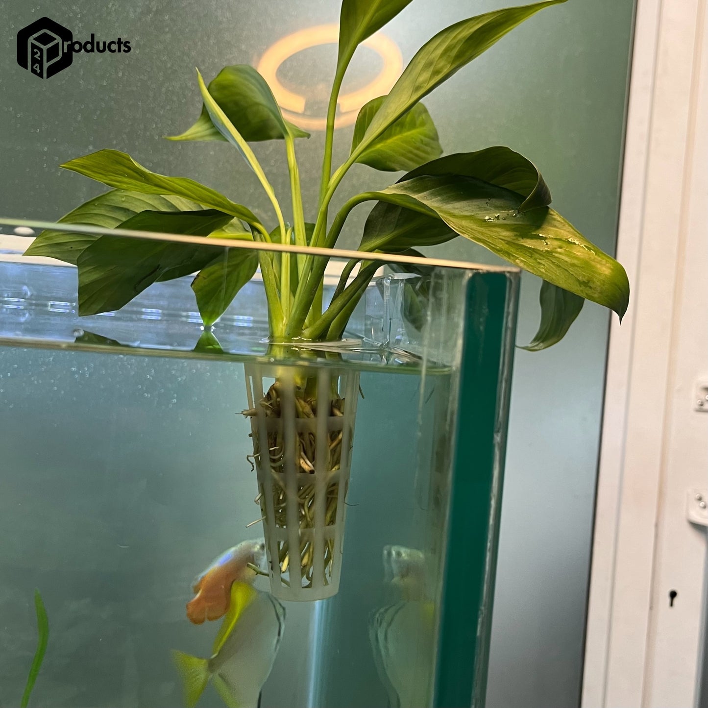 Aquarium Plant Holder (Basket Style)