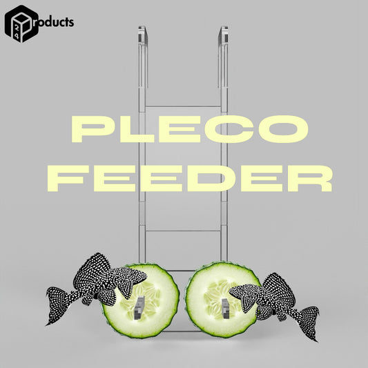 Pleco Fresh Food Feeder | Pleco Cucumber Feeder